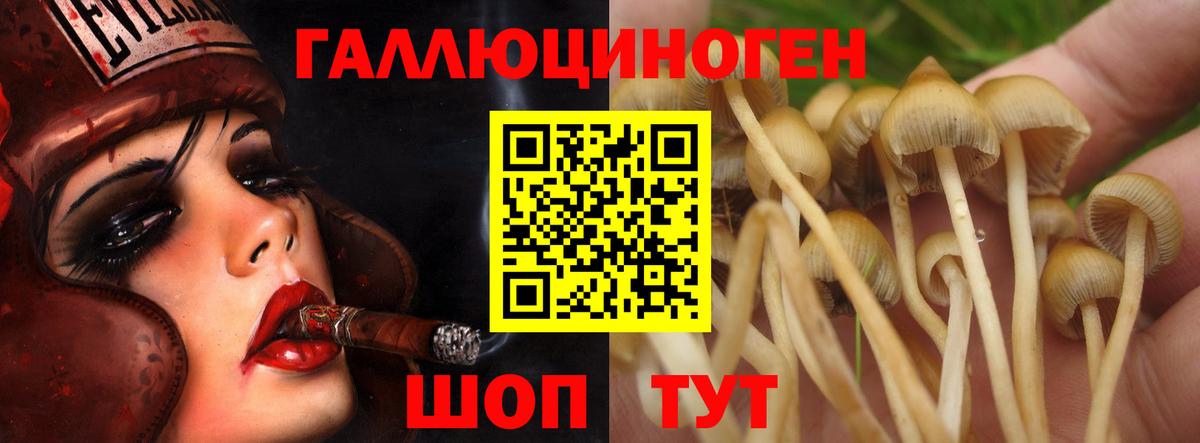 магазин продажи   Вход с VPN  Малоярославец  Галлюциногенные грибы мицелий  Псилоцибиновые грибы мухоморы 